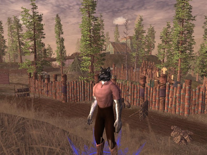 Granite in Dahknarg 2.JPG